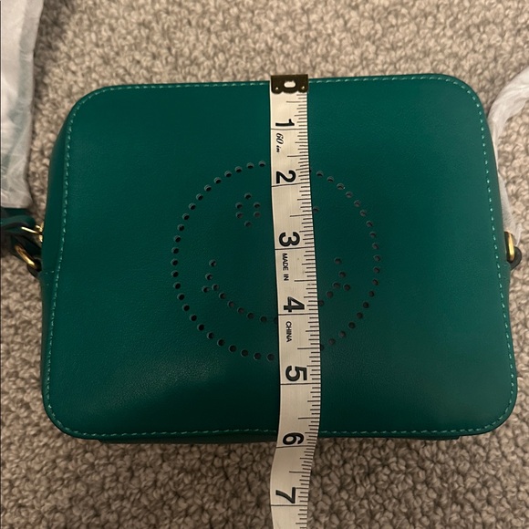 BRAND NEW ANYA HINDMARCH Crossbody Wink Tassle Bag Emerald Circus - Picture 12 of 14